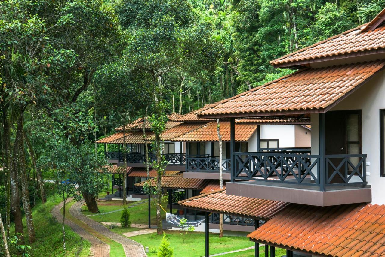 The Serenity Resort Tariyod Exteriör bild